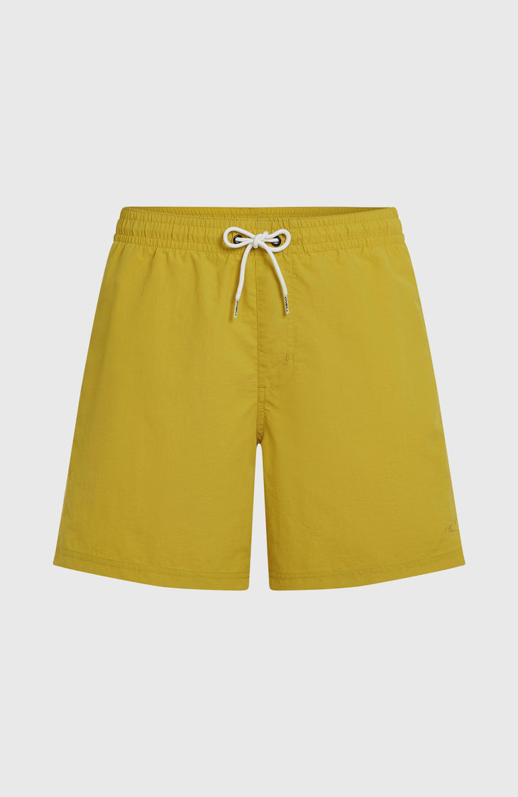 O'Neill Vert 16" Badehose | Angel Fern
