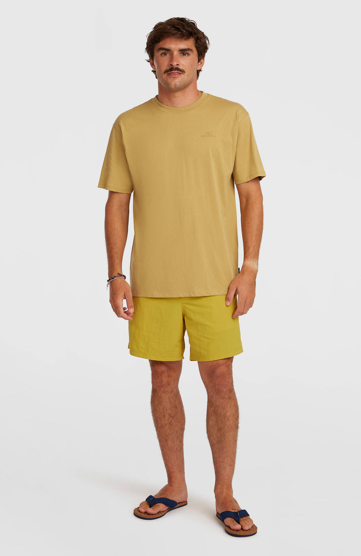 O'Neill Vert 16" Badehose | Angel Fern