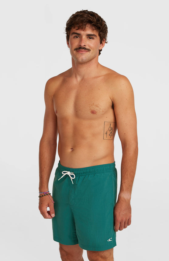 O'Neill Vert 16" Badehose | Botanical Heat
