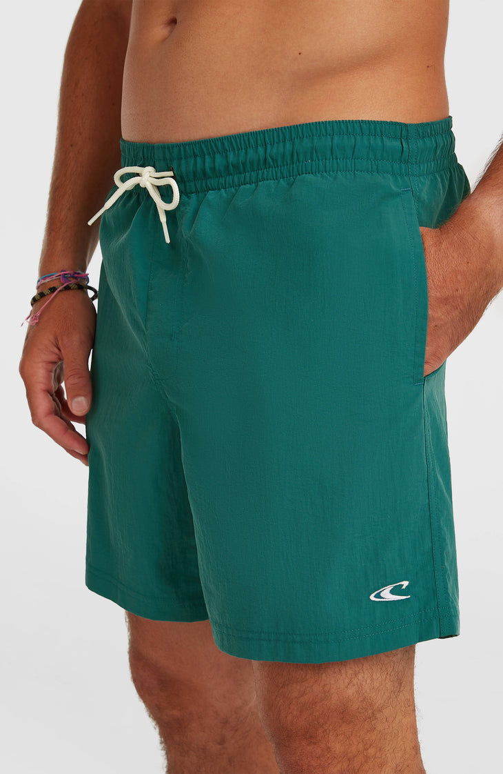 O'Neill Vert 16" Badehose | Botanical Heat