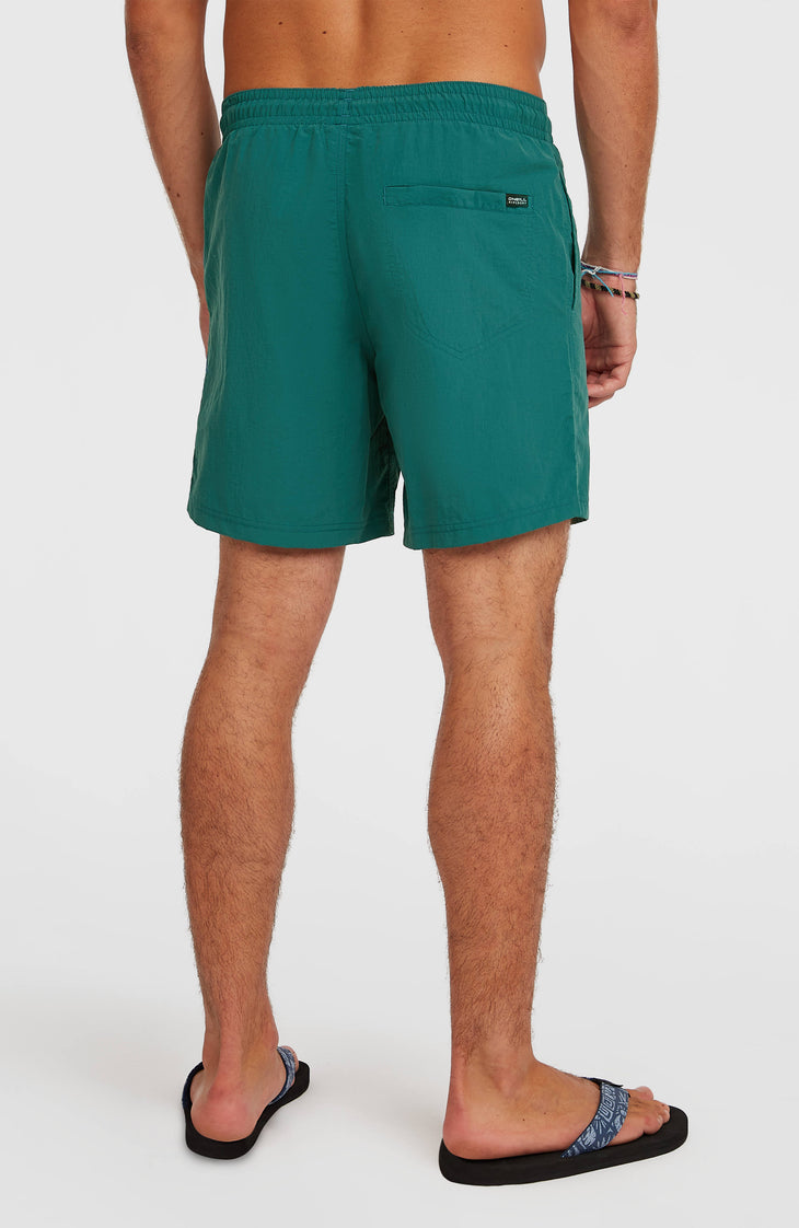 O'Neill Vert 16" Badehose | Botanical Heat