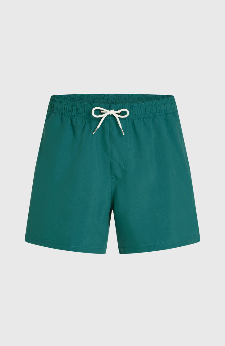O'Neill Beach 15" Badehose | Botanical Heat