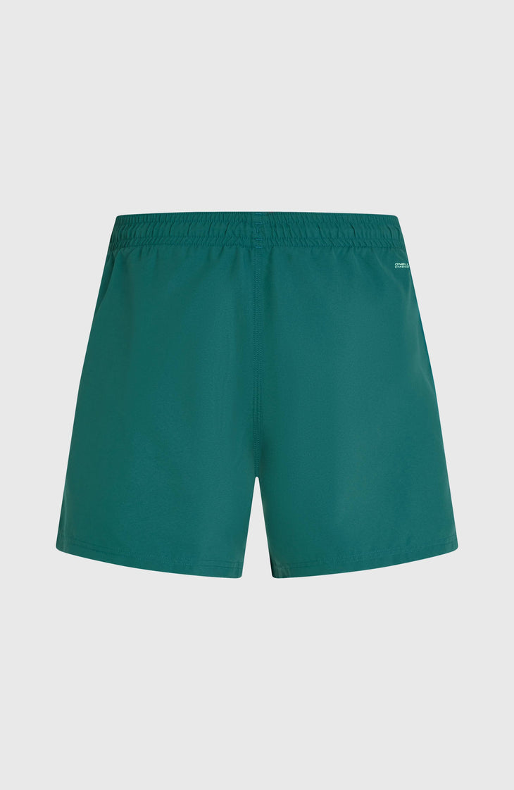O'Neill Beach 15" Badehose | Botanical Heat