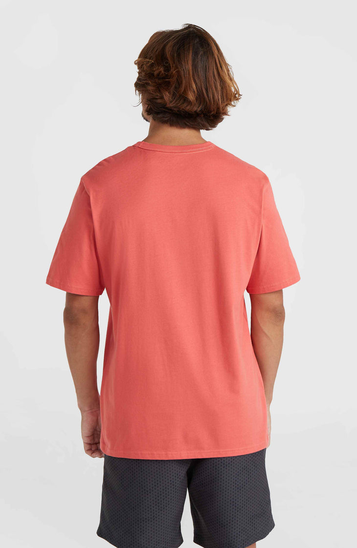 O'Neill TRVLR Series Pacific Polygiene T-Shirt | Red Orcher
