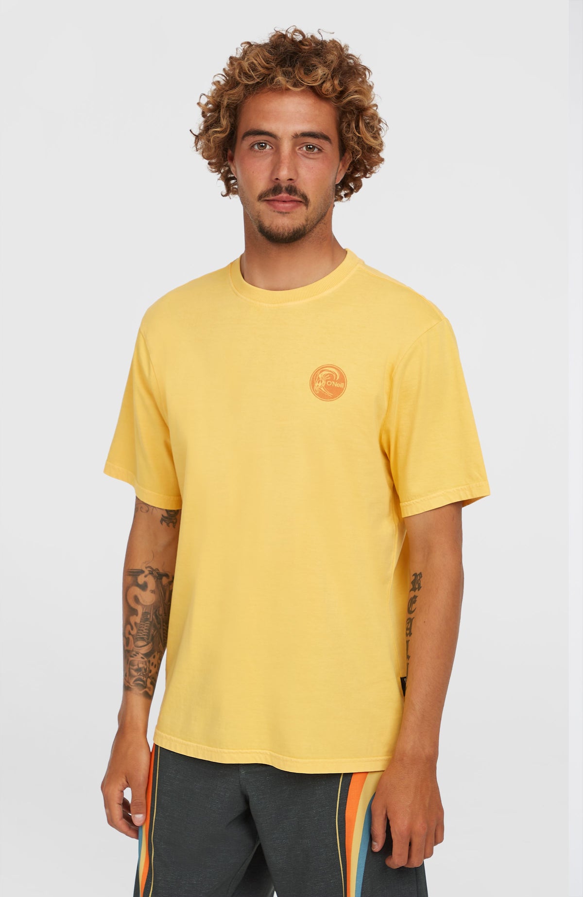 O'Neill O'Riginals Vintage Graphic T-Shirt für Herren, gelb mit Grafik-Print in Orange, getragen am Model