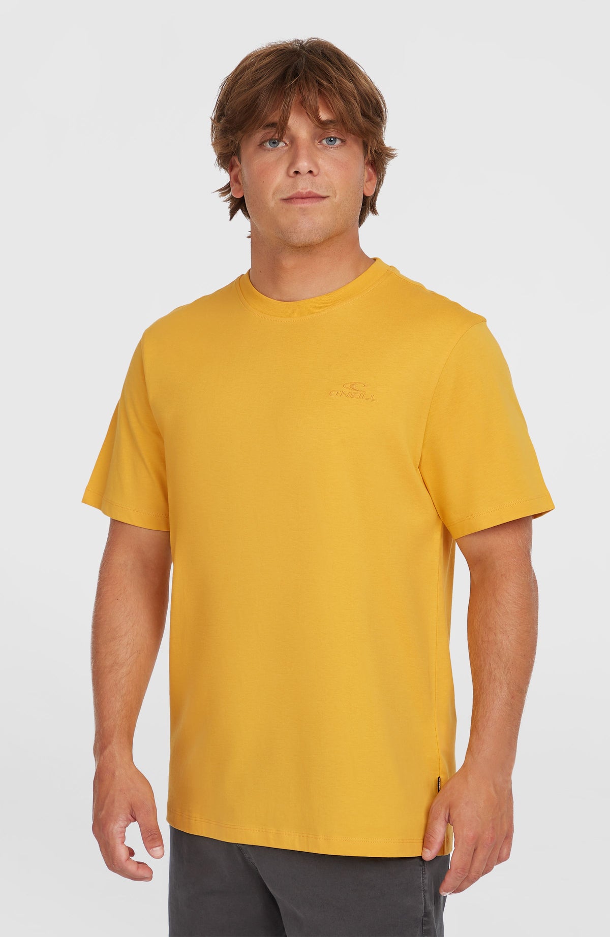 O'Neill Small Logo T-Shirt für Herren, gelb, getragen am Model, Vorderansicht