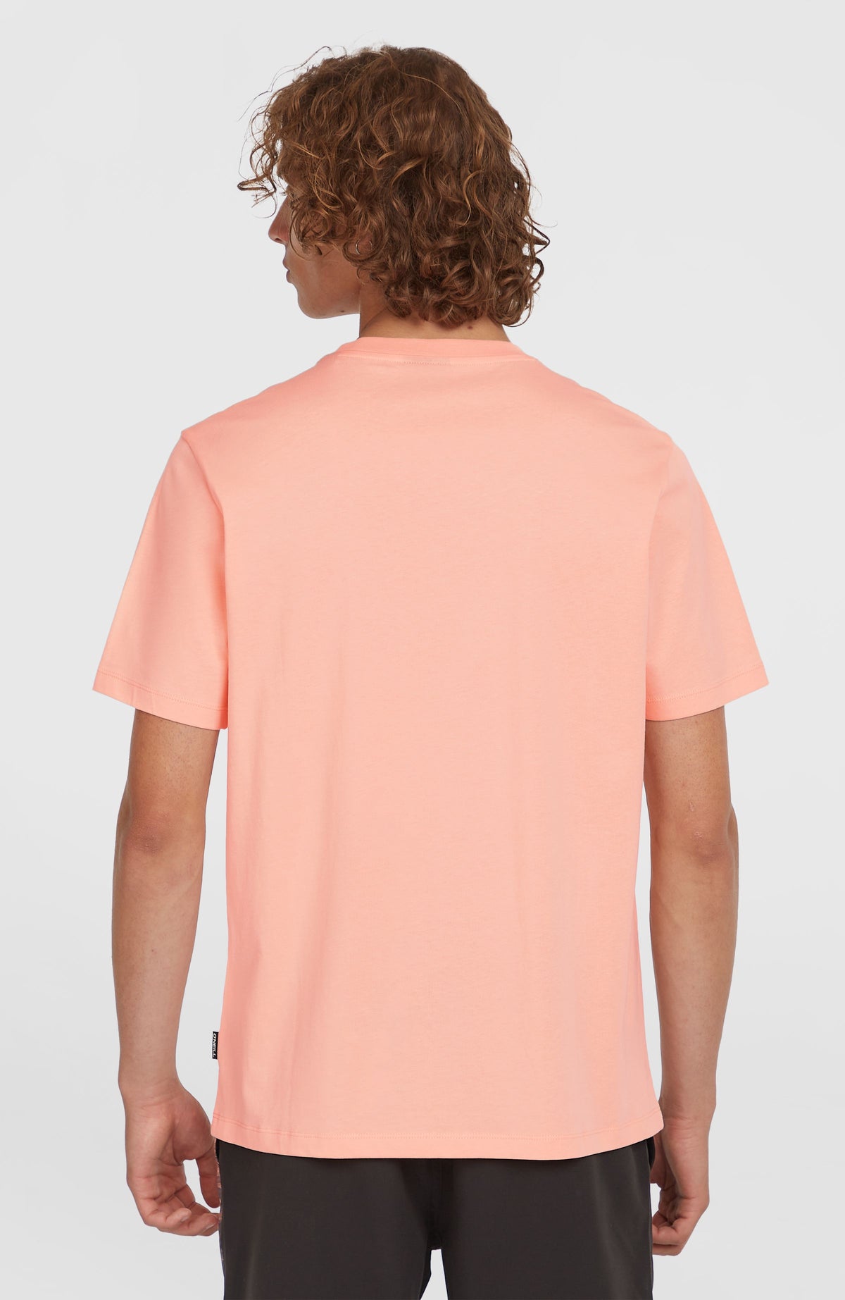 Small Logo T-Shirt für Herren, pink, Rückansicht am Model