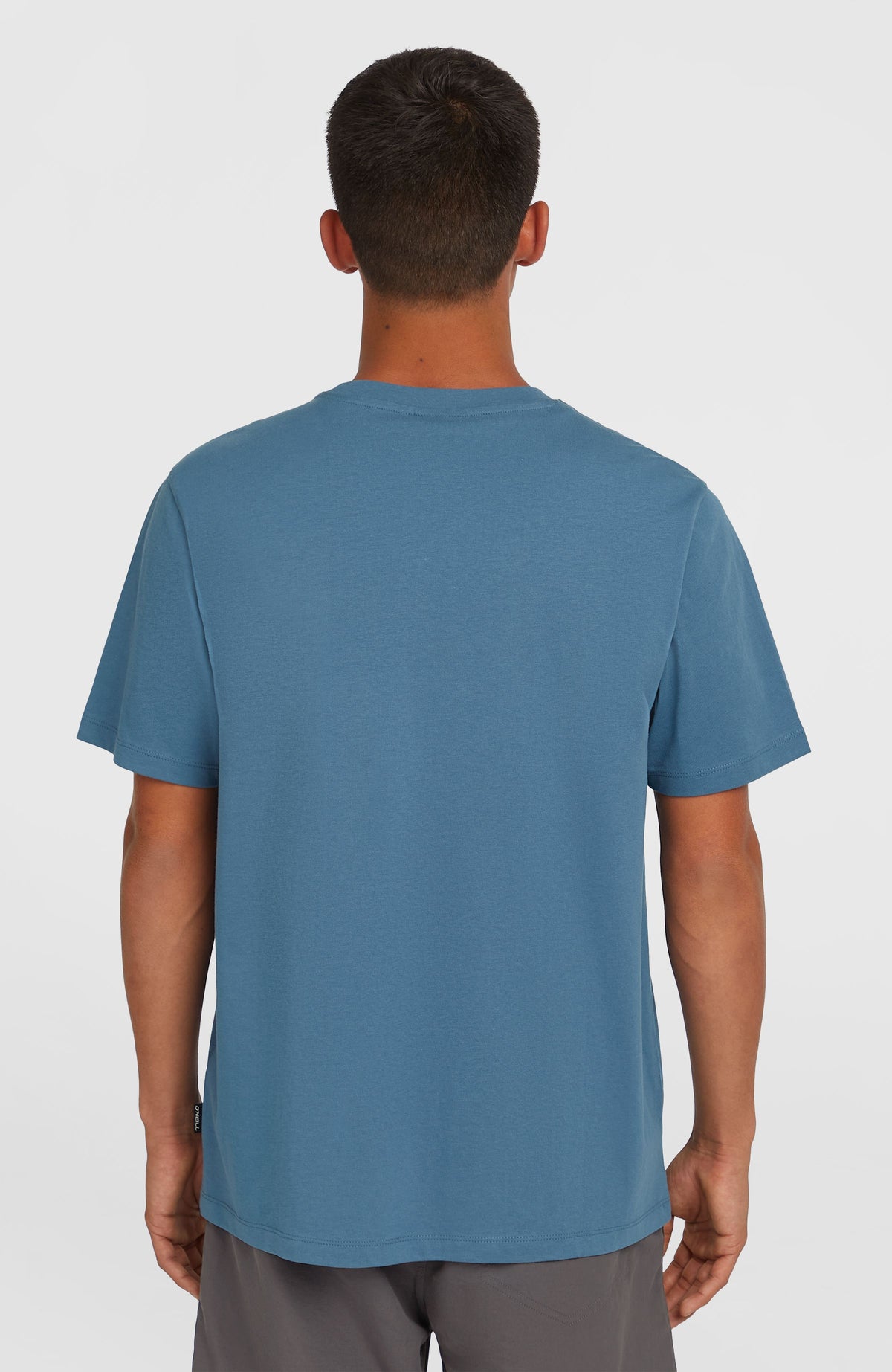 Small Logo T-Shirt für Herren, blau, Rückansicht am Model mit kurzen Ärmeln