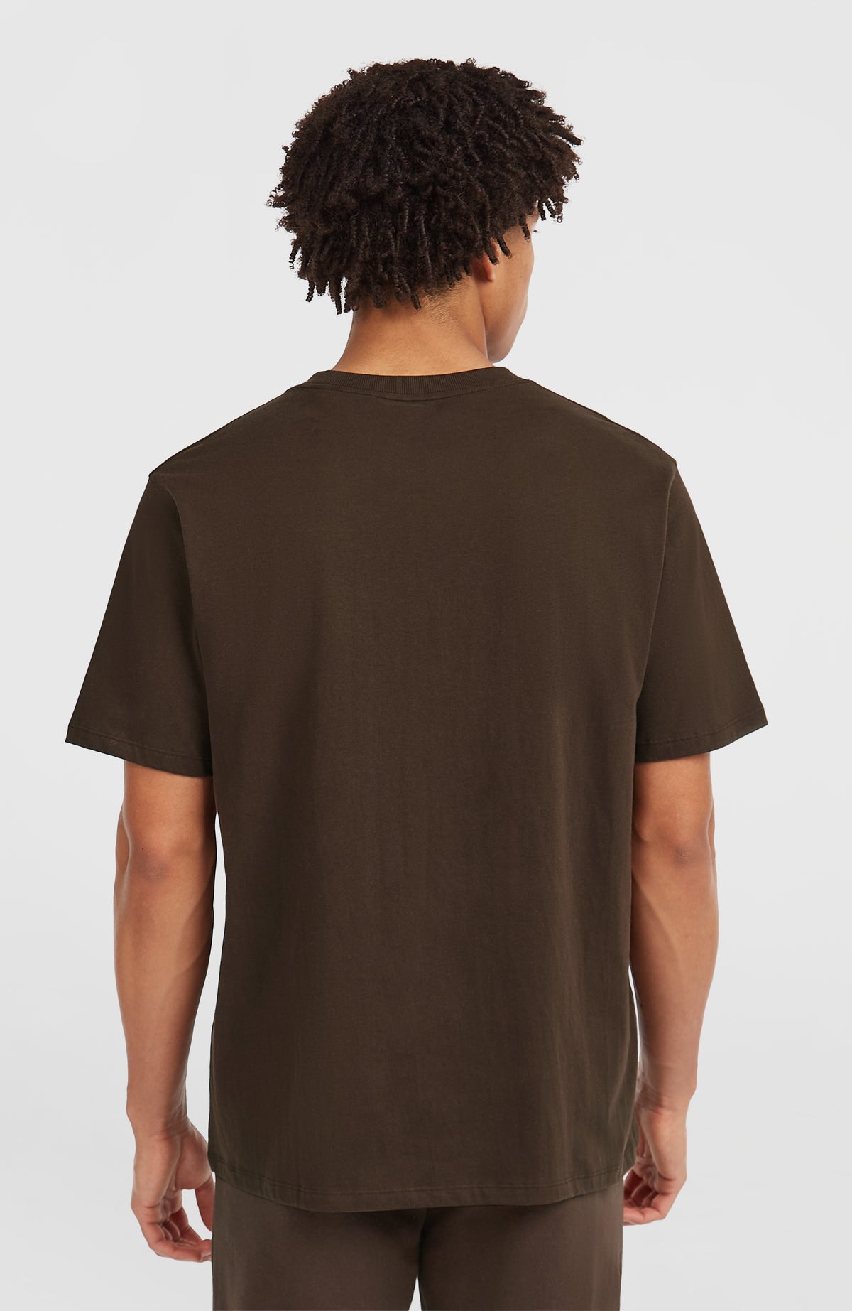 Future Surf Society T-Shirt für Herren, braun, Rückansicht getragen am Model