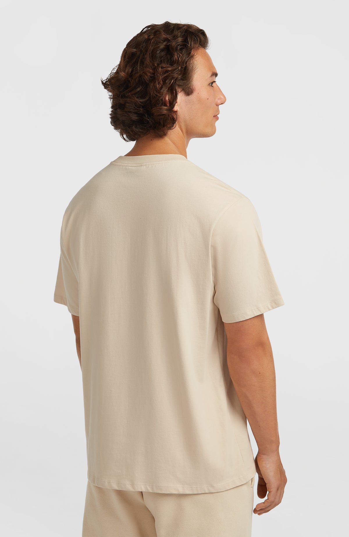 Future Surf Society T-Shirt für Herren, beige, Rückansicht getragen am Model