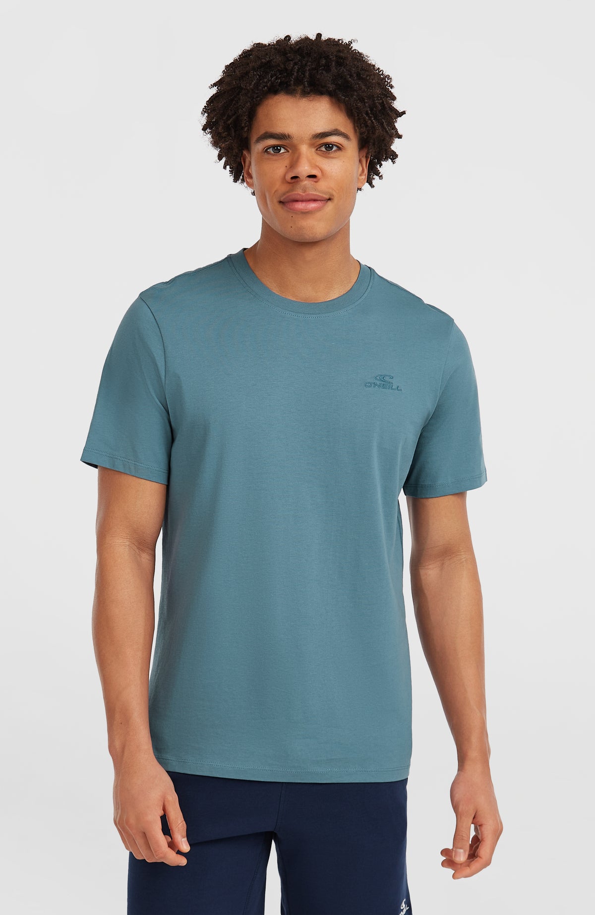 O'Neill Small Logo T-Shirt für Herren, blau, am Model von vorne