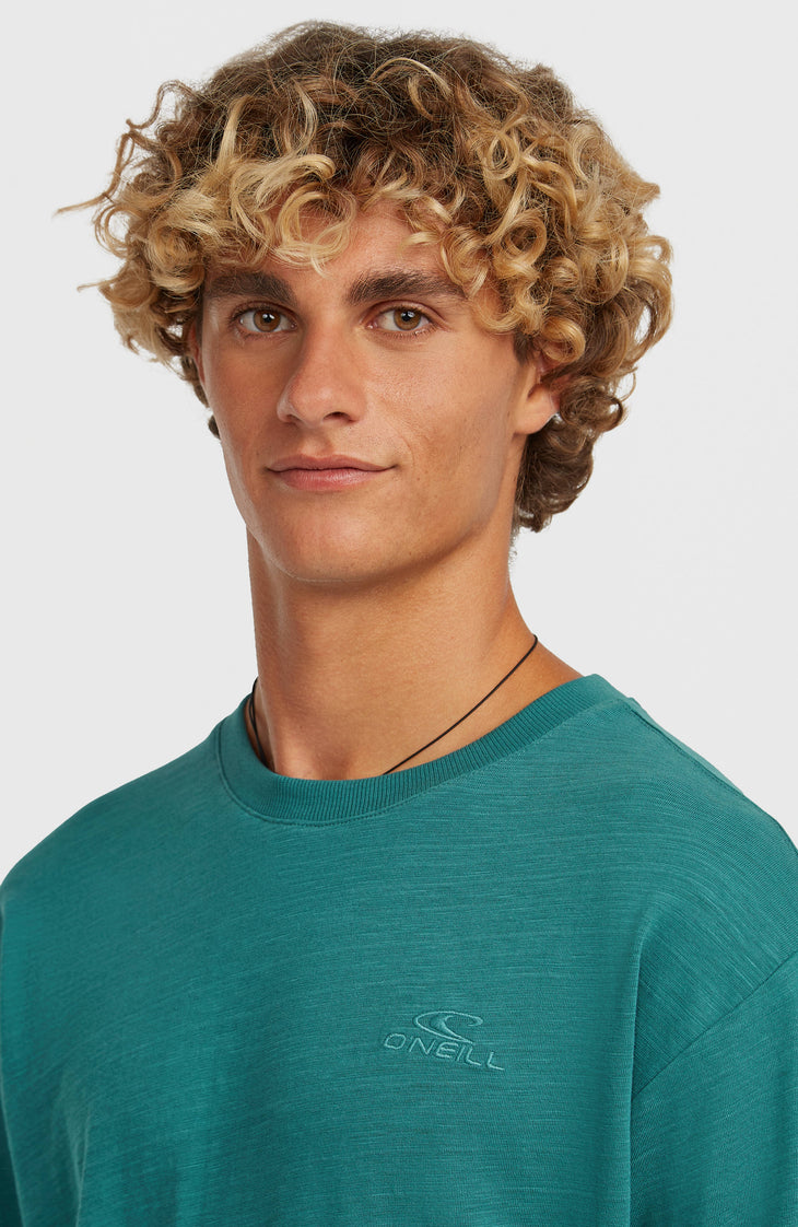 O'Neill Slub Langarmshirt | Botanical Heat