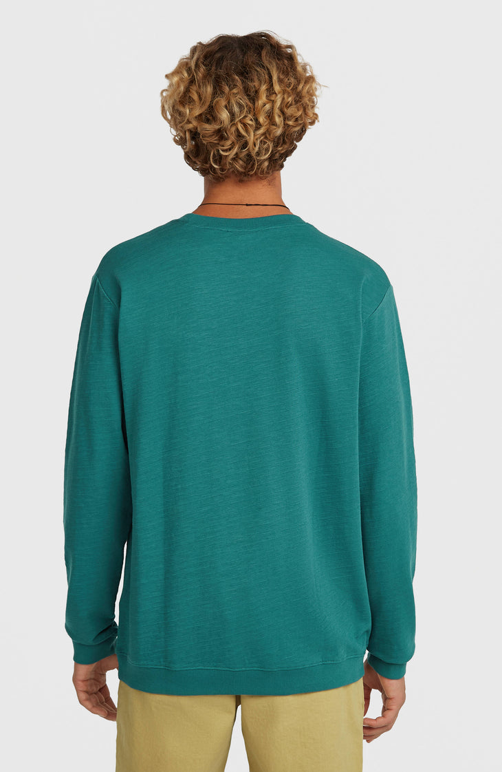 O'Neill Slub Langarmshirt | Botanical Heat