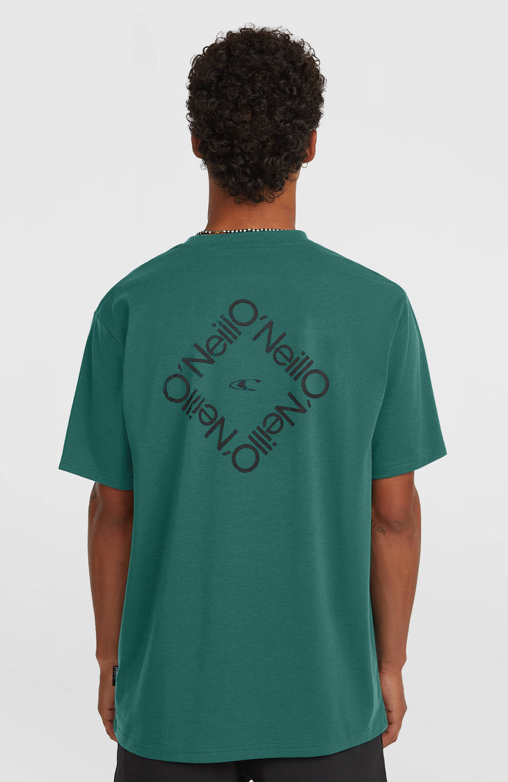 O'Neill Hybrid Polygiene Back-Print T-Shirt | Botanical Heat