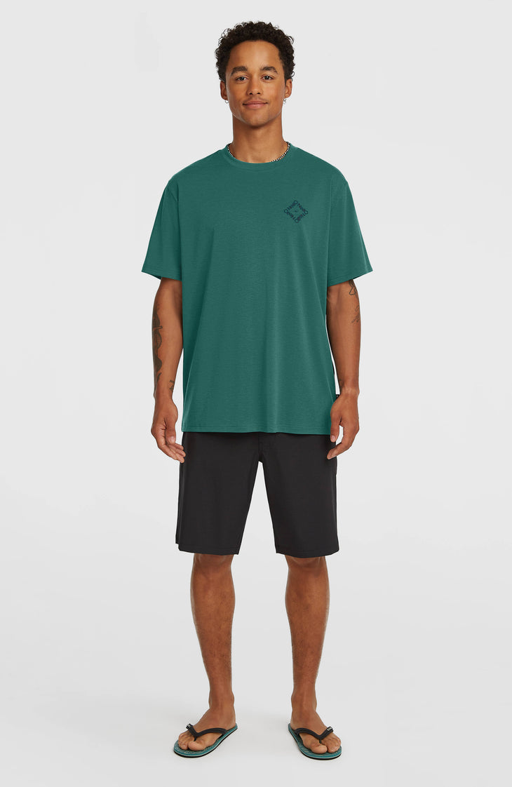 O'Neill Hybrid Polygiene Back-Print T-Shirt | Botanical Heat