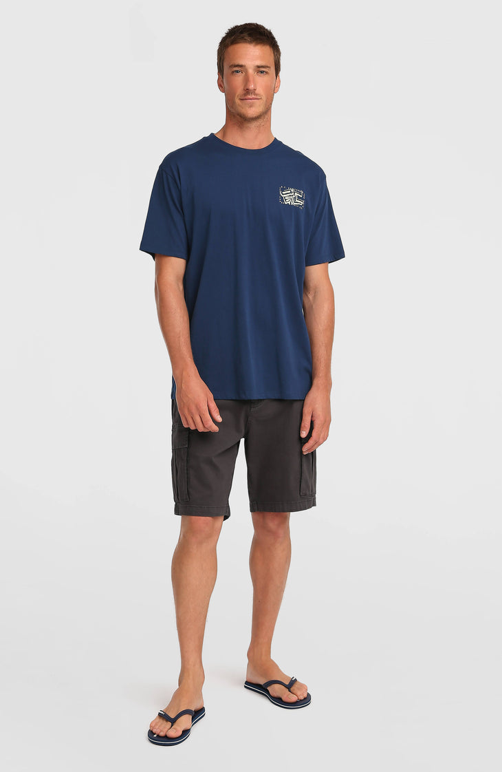O'Neill Photo Back Print T-Shirt | English Evening