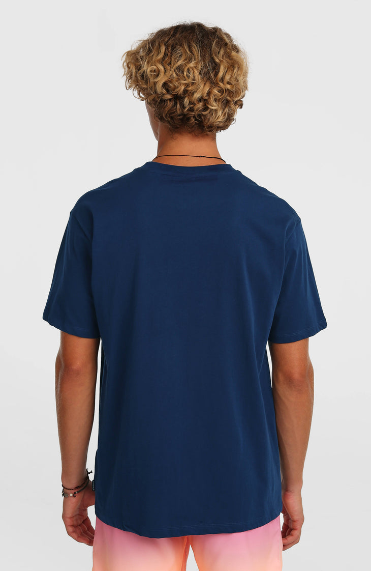 O'Neill Gradient T-Shirt | English Evening