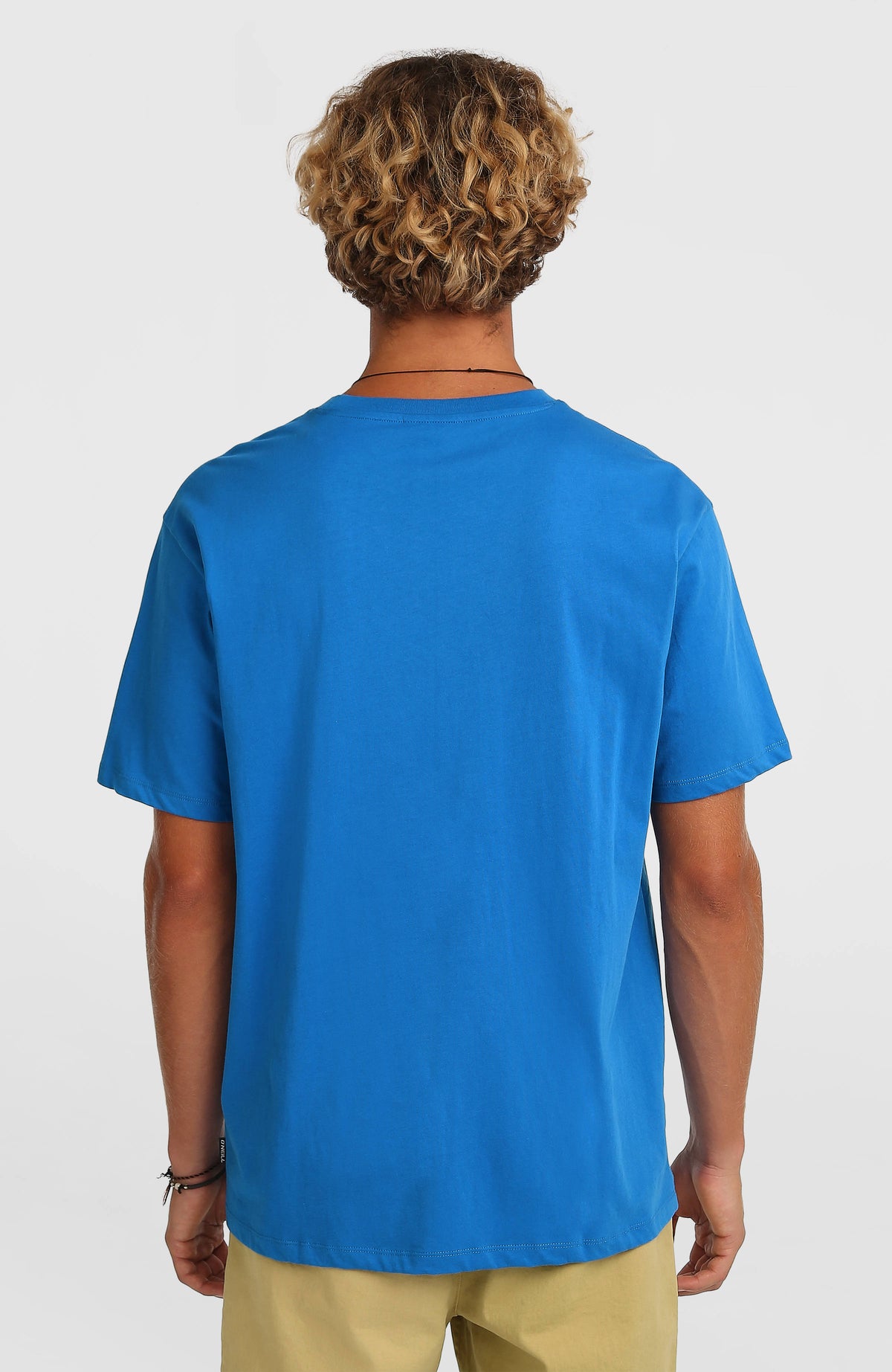 Gradient T-Shirt für Herren, blau, getragen am Model in der Rückansicht
