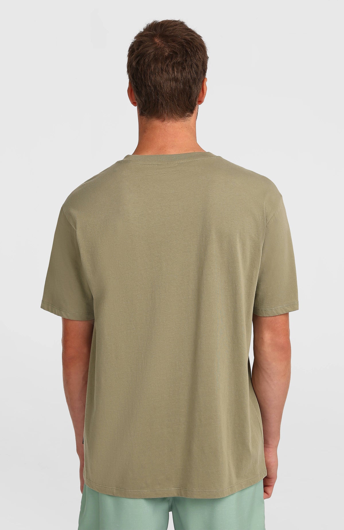 Flower Stripe T-Shirt für Herren, grün, unifarbene Rückansicht getragen am Model