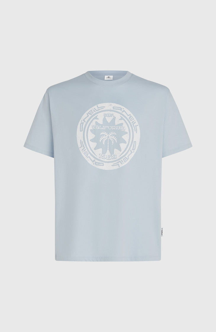 O'Neill Must-Have Graphic T-Shirt | Spindle