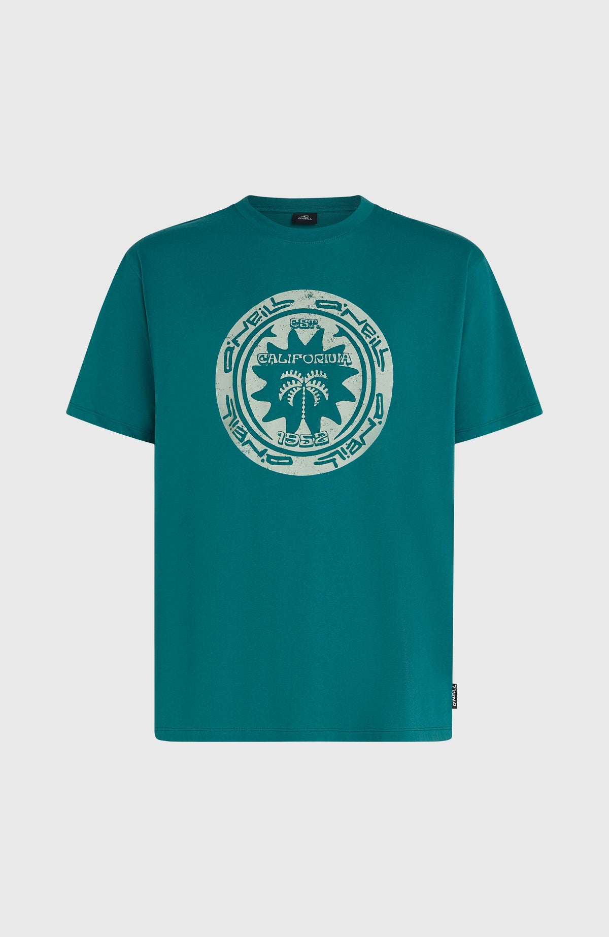 Must-Have Graphic T-Shirt für Herren, grün mit Grafik-Print in Mint, freigestellt von vorne