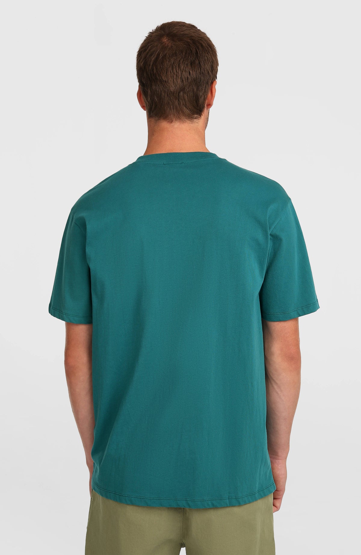 Must-Have Graphic T-Shirt für Herren, grün mit Grafik-Print in Mint, Rückansicht getragen am Model