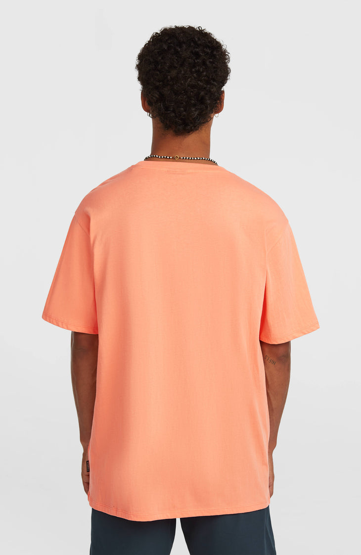 O'Neill Small Logo T-Shirt | Funky Peach