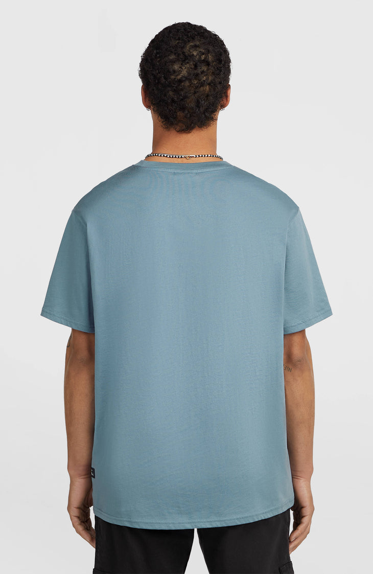 O'Neill Must-Have Graphic T-Shirt | Murky Water