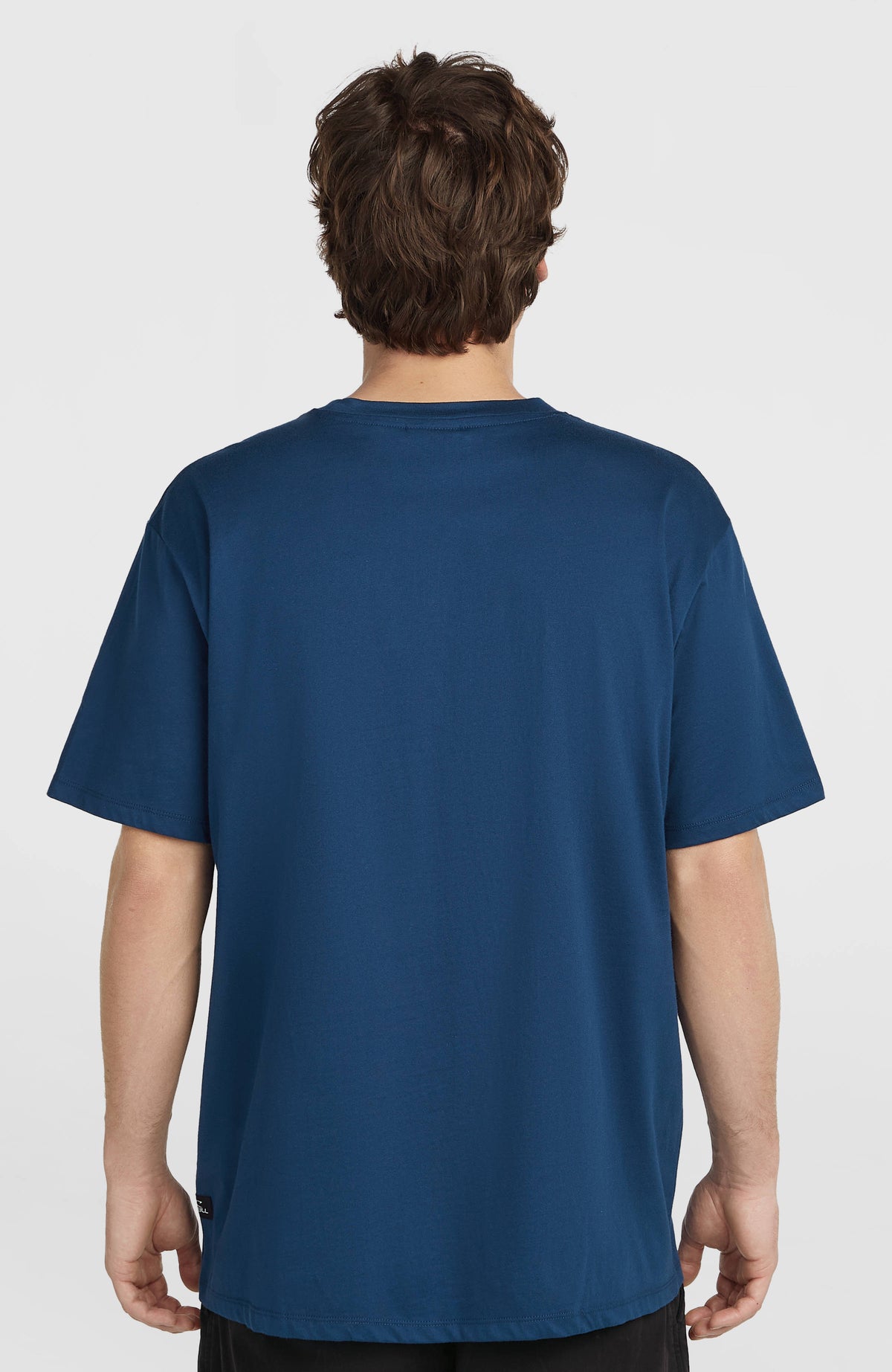Muir T-Shirt für Herren, blau, Rückansicht, getragen am Model