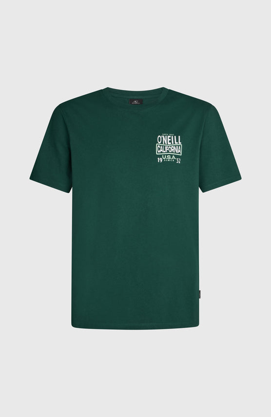 O'NEILL CALI T-SHIRT | Emerald Envy
