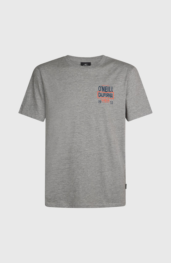 O'NEILL CALI T-SHIRT | Silver Melee