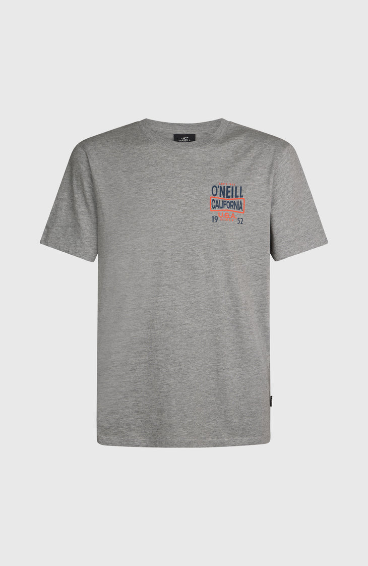 O'NEILL CALI T-SHIRT | Silver Melee