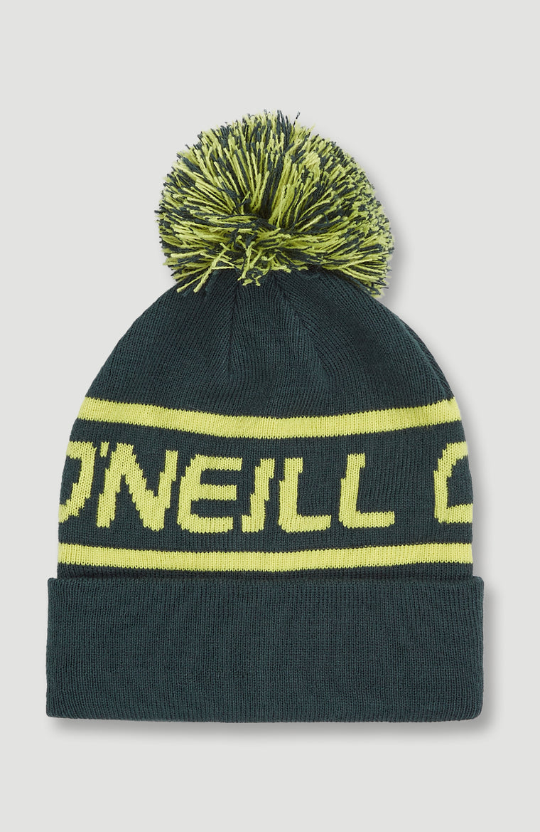 Powder Beanie | Alma Steel Powder Beanie | Alma Steel