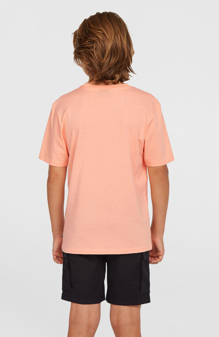 Cargo-Shorts | Black Out