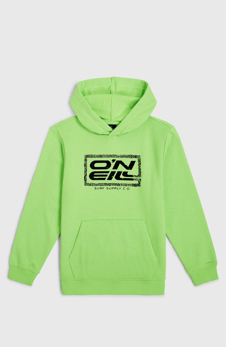 Logo Hoodie | Paradise Valley