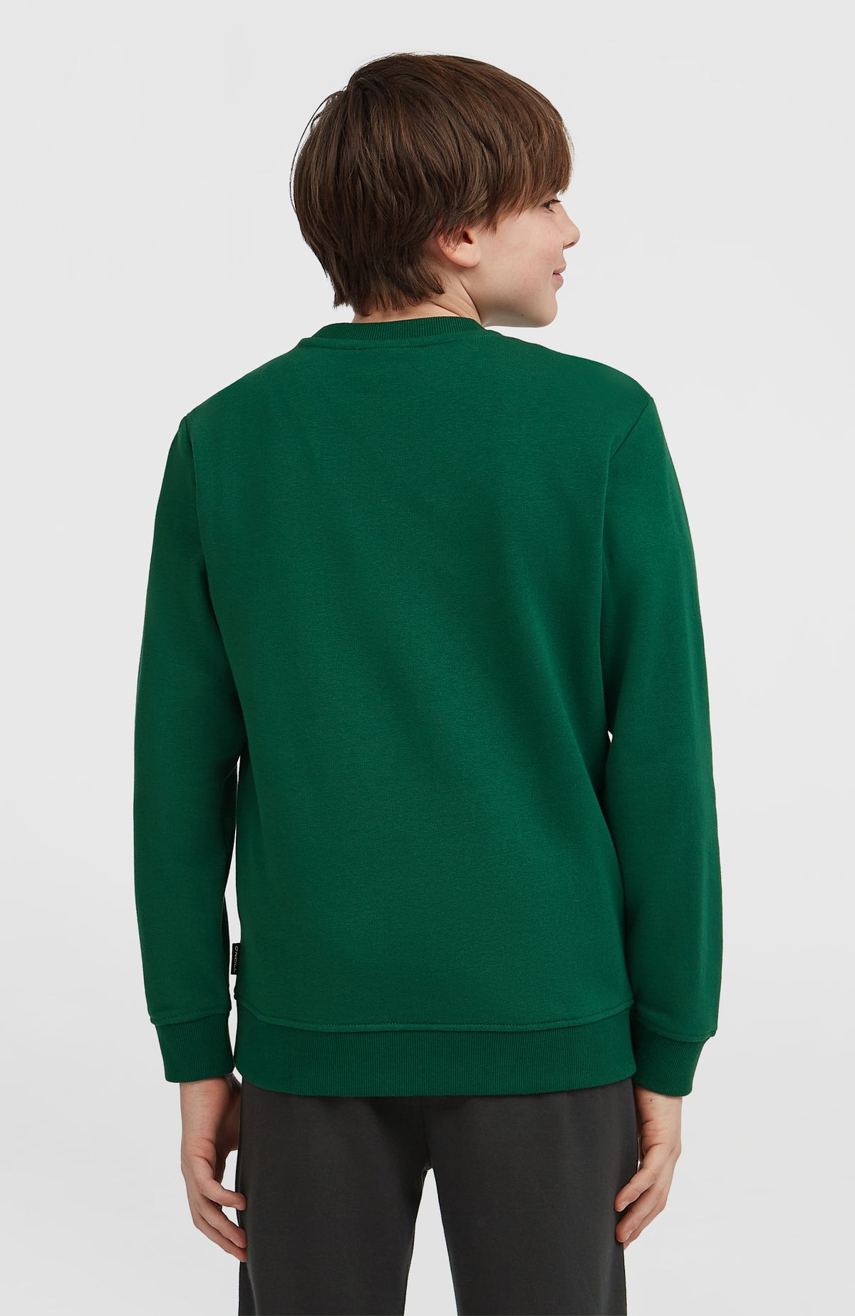 Essentials Crew Sweatshirt für Jungen, grün, Rückansicht getragen am Model mit geripptem Saum