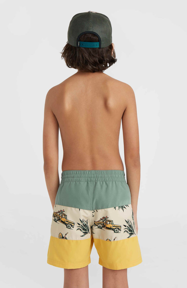 Mix and Match Cali Block 13'' Badehose | Beige Venice Beach