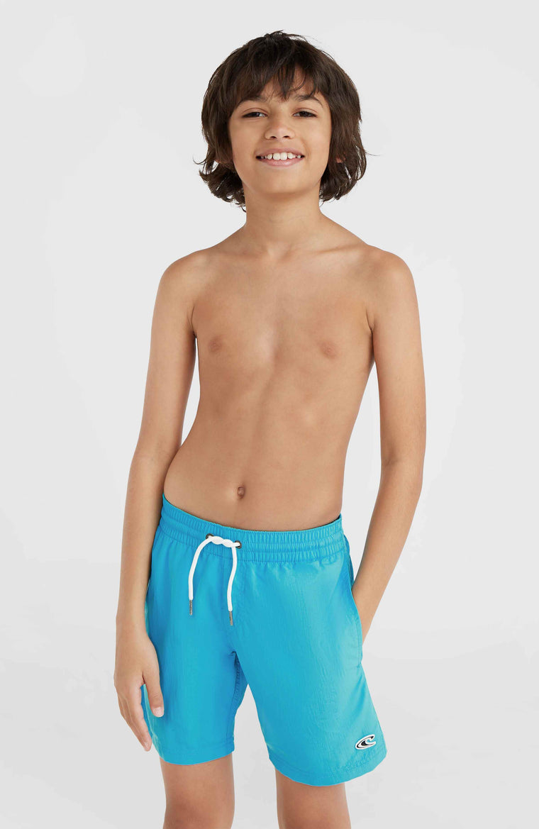 Vert 14'' Badehose | Neon Blue Vert 14'' Badehose | Neon Blue
