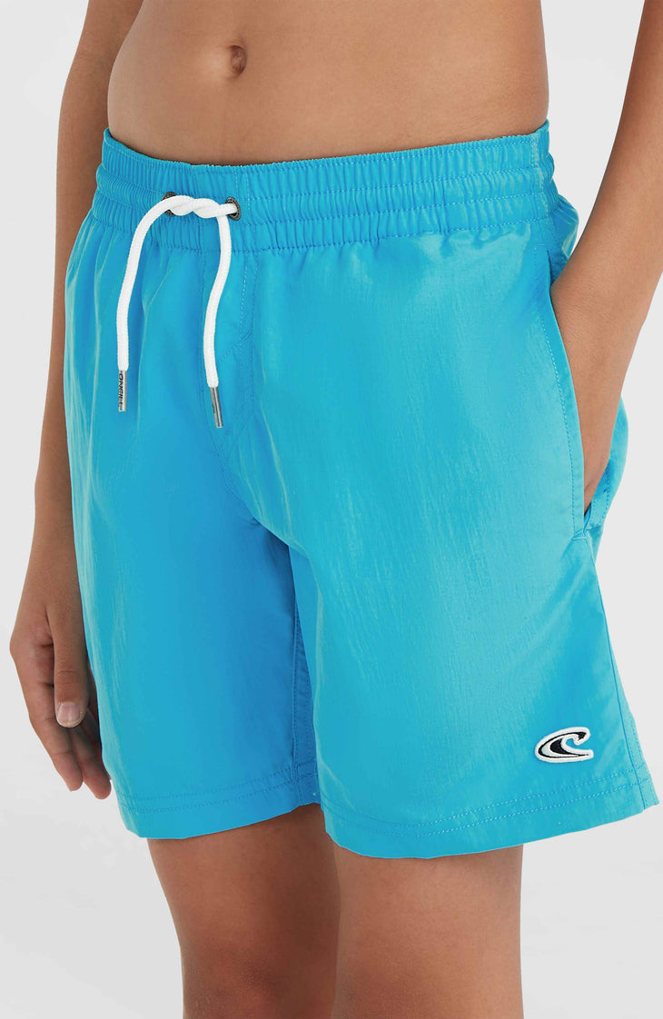 Vert 14'' Badehose | Neon Blue