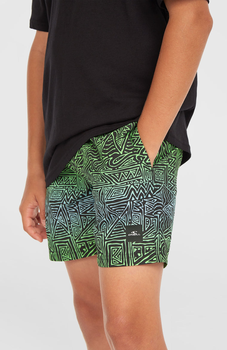 Cali 14'' Badehose | Blue Gradikat Cali 14'' Badehose | Blue Gradikat