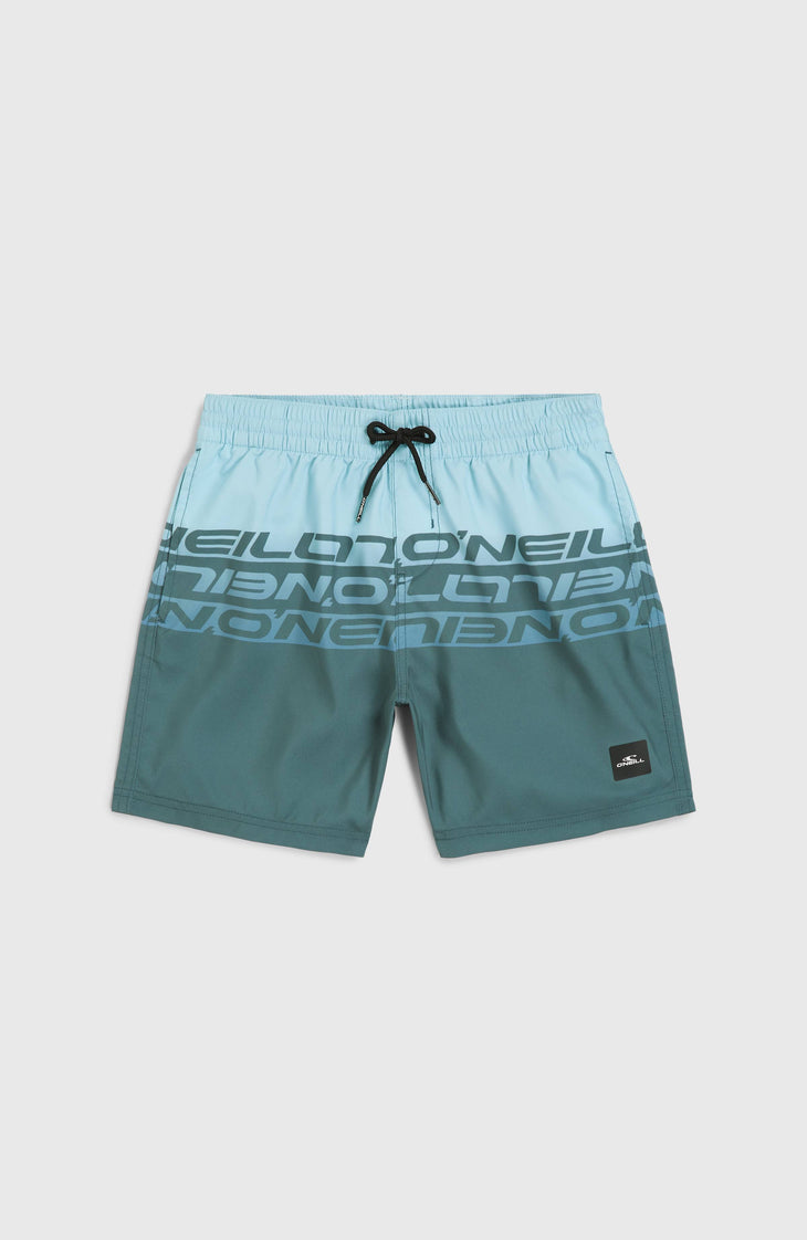 Cali Stripe 14'' Badehose | Blue Upside Down