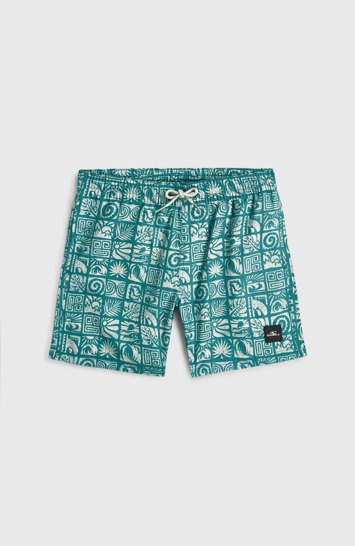 O'Neill Print Badehose | Blue Bricks
