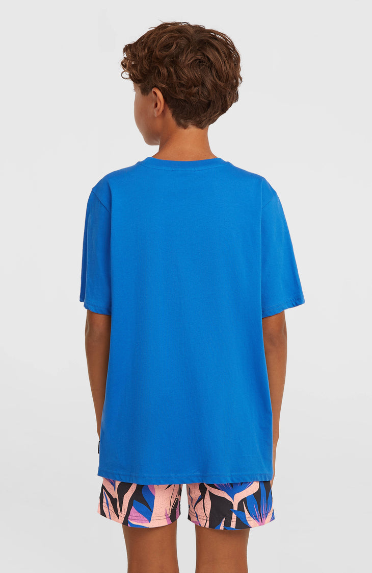 O'Neill Print Badehose | Black Tropicana Big