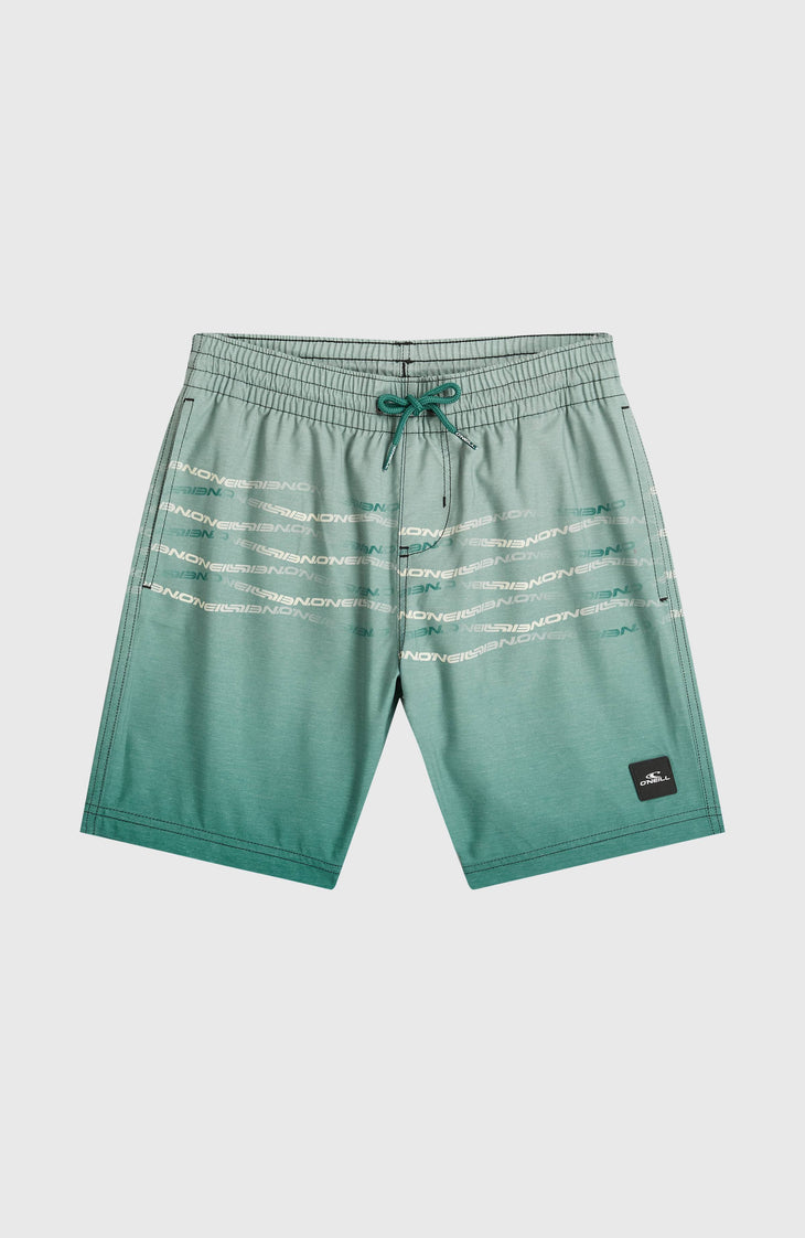 O'Neill First Badehose | Boys Green Heritage Flip