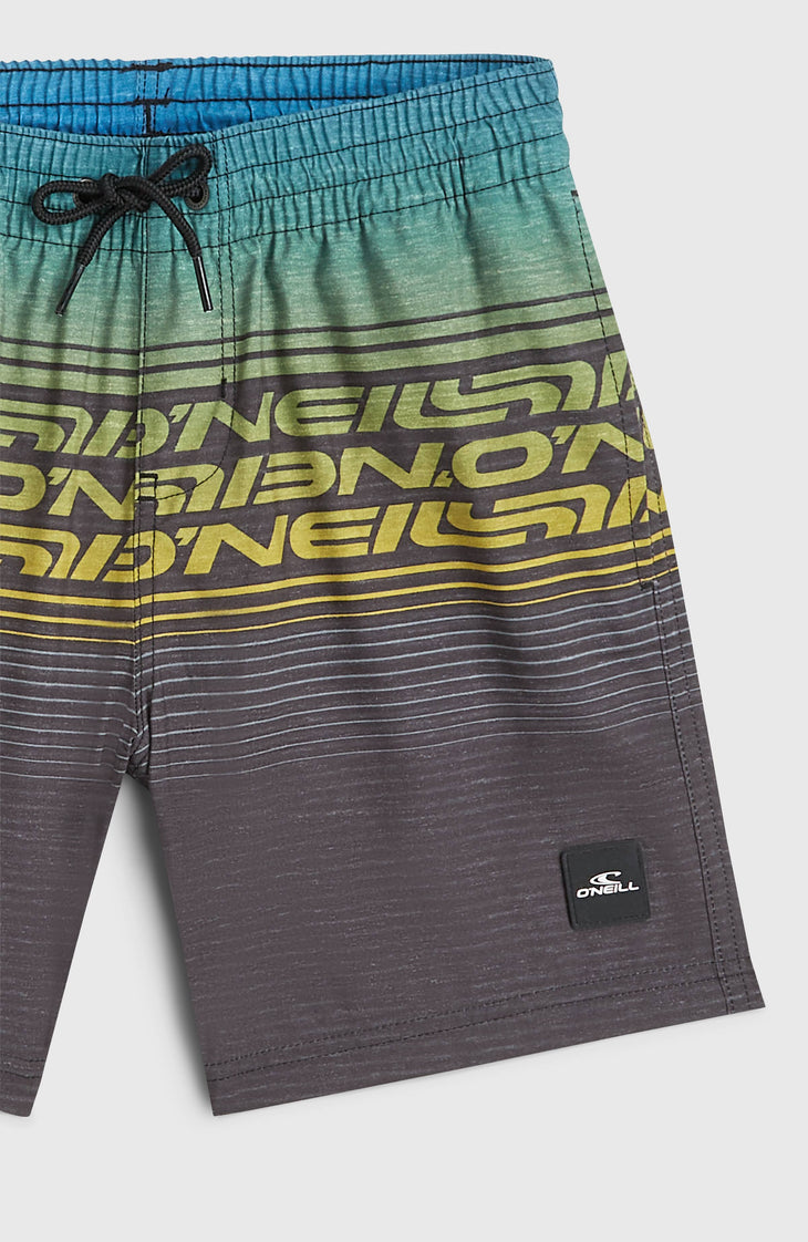 O'Neill Logo Stripe Badehose | Boys Blue Heritage O'Neill