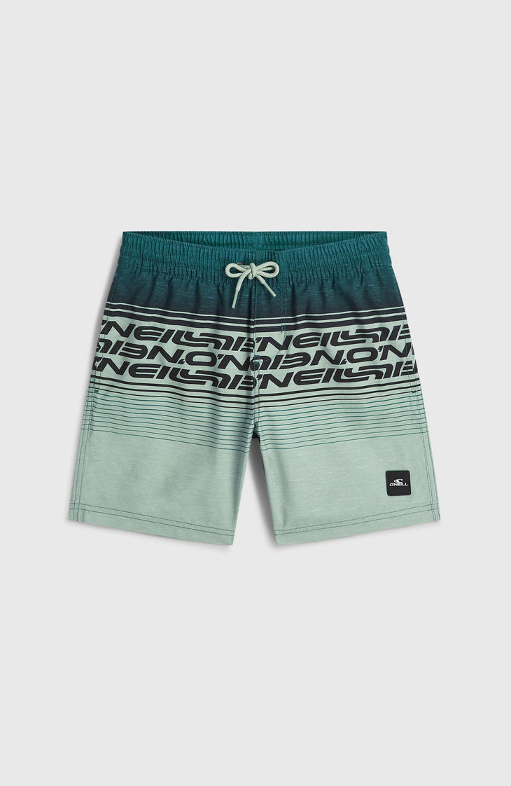 O'Neill Logo Stripe Badehose | Boys Green Heritage O'Neill