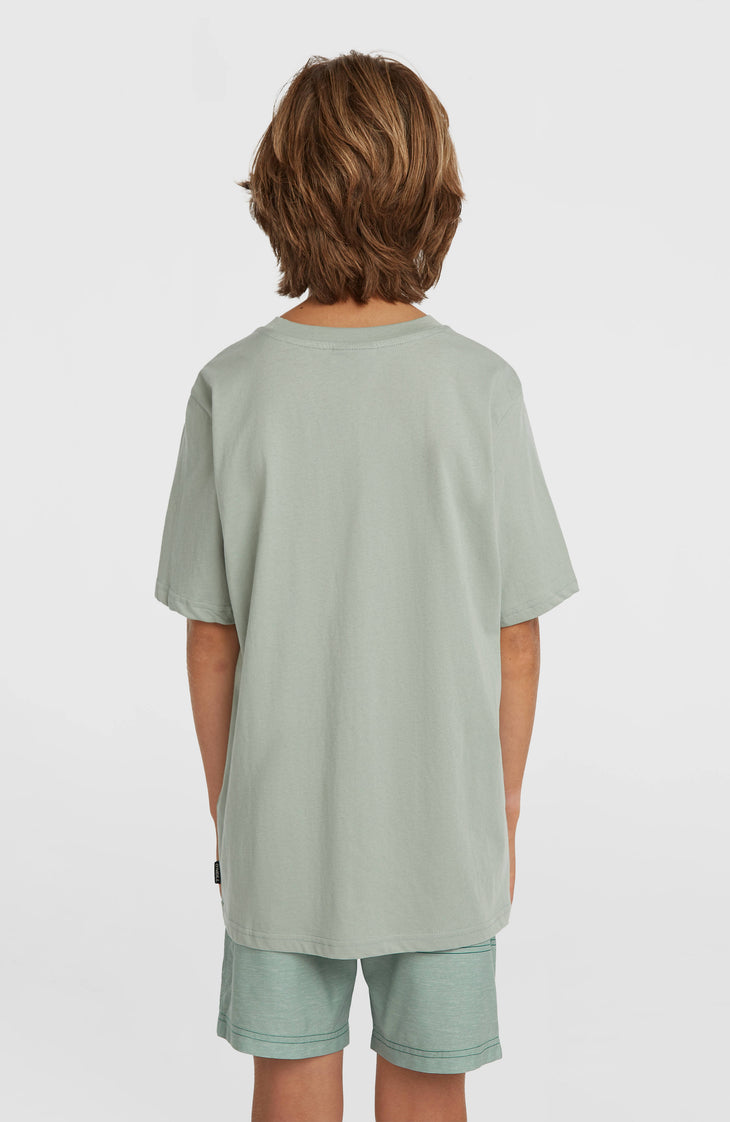 O'Neill Logo Stripe Badehose | Boys Green Heritage O'Neill