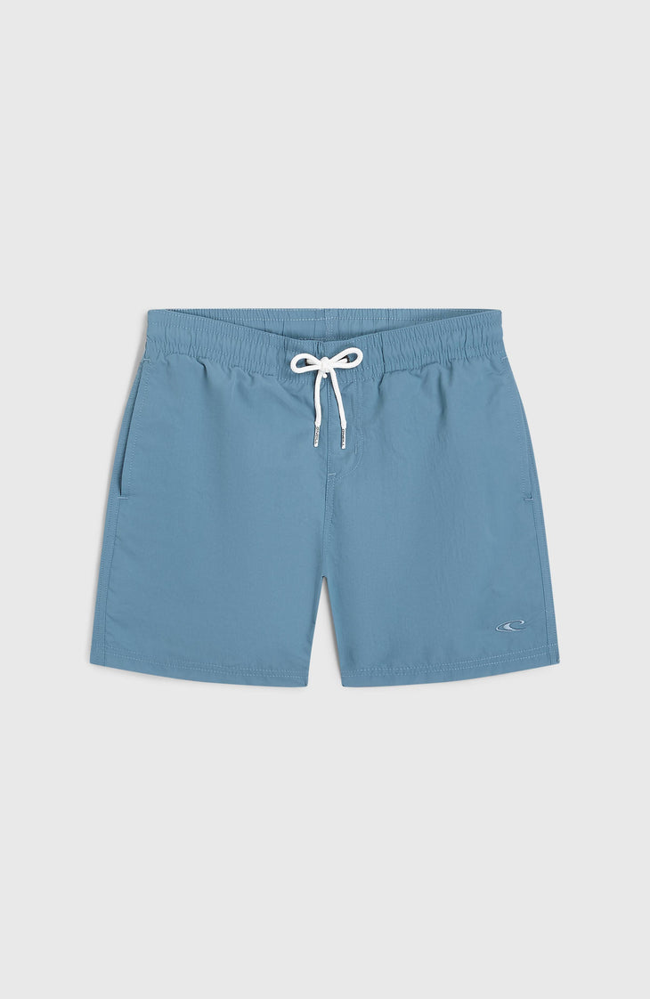 O'Neill Vert Badehose | Copen Blue