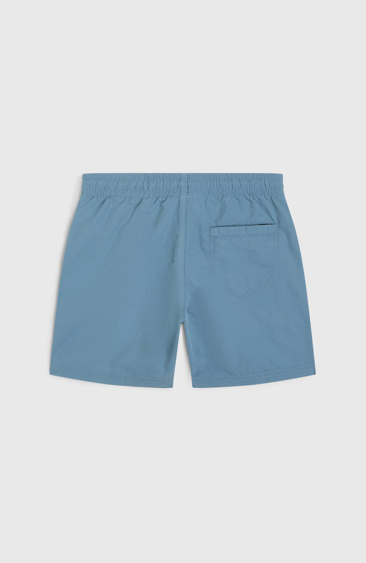 O'Neill Vert Badehose | Copen Blue