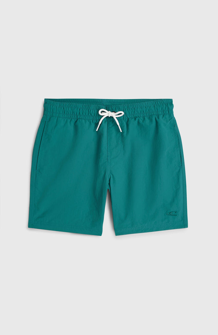 O'Neill Vert Badehose | Botanical Heat